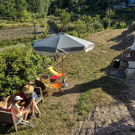 Quinta Da Peca Douro Vinhateiro Vila Real Eksteriør bilde