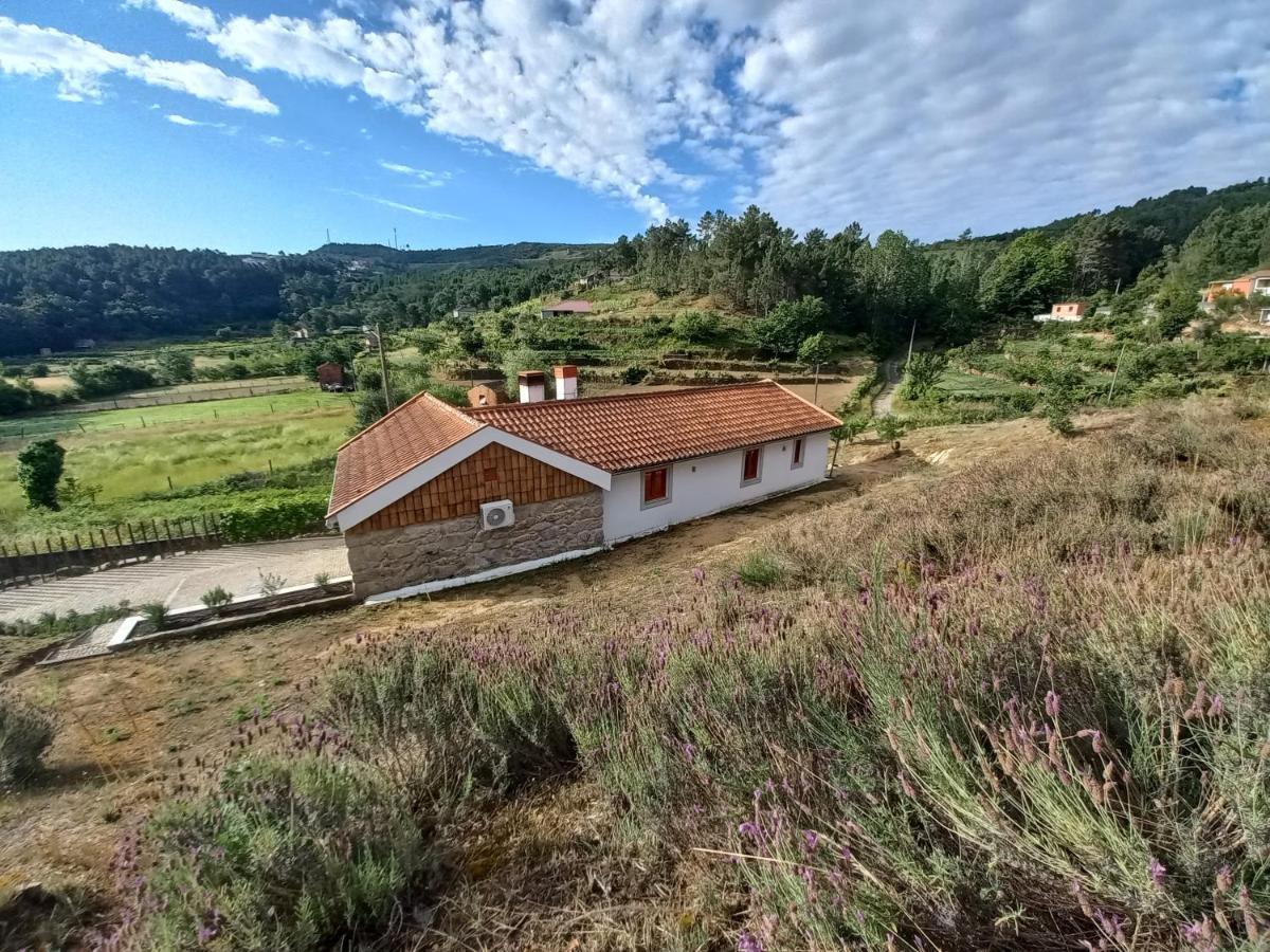 Quinta Da Peca Douro Vinhateiro Vila Real Eksteriør bilde
