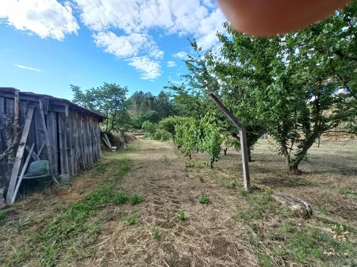 Quinta Da Peca Douro Vinhateiro Vila Real Eksteriør bilde