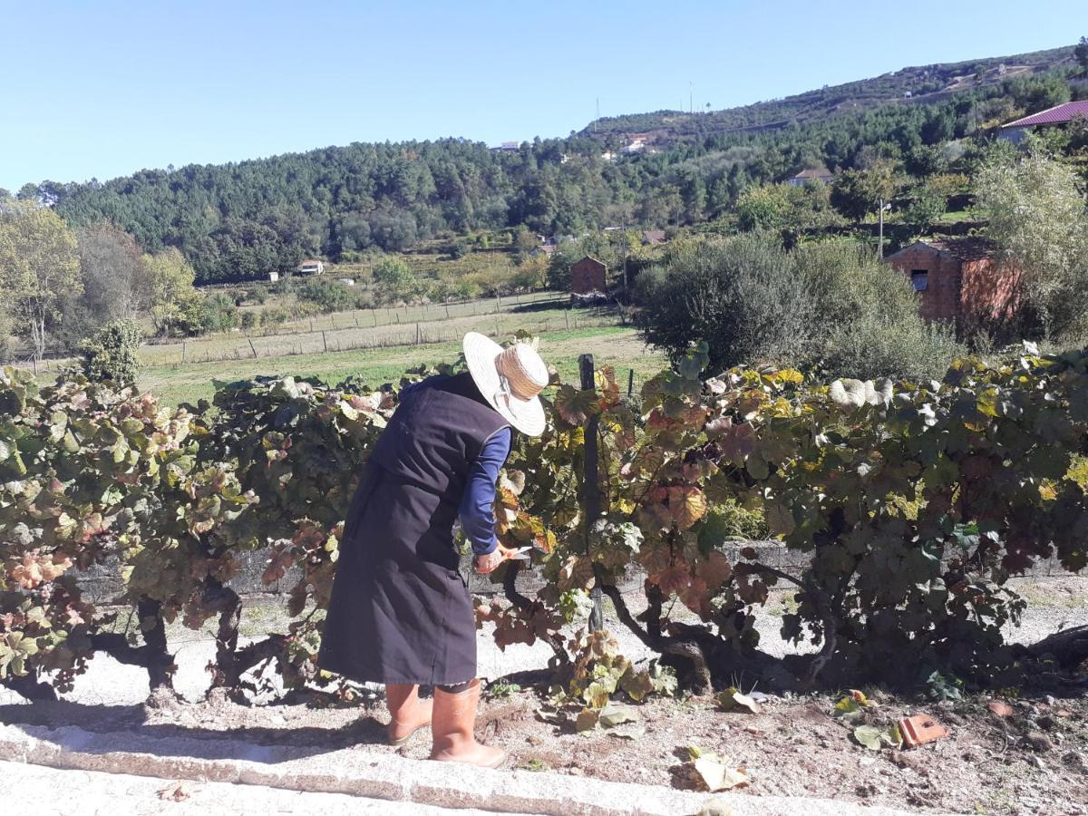Quinta Da Peca Douro Vinhateiro Vila Real Eksteriør bilde