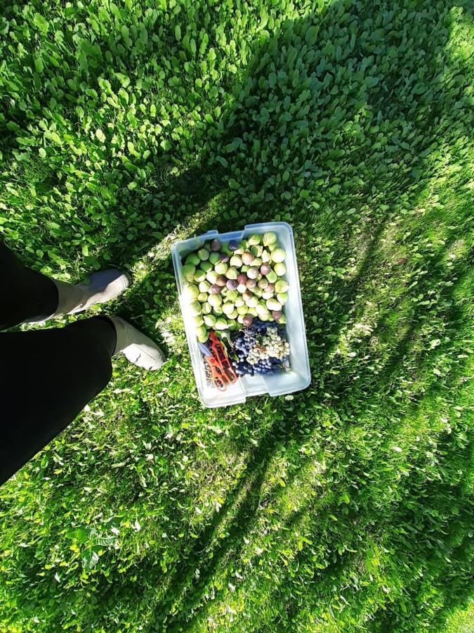 Quinta Da Peca Douro Vinhateiro Vila Real Eksteriør bilde