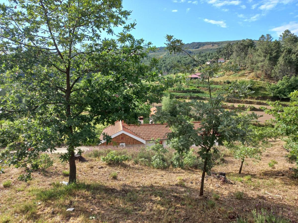 Quinta Da Peca Douro Vinhateiro Vila Real Eksteriør bilde