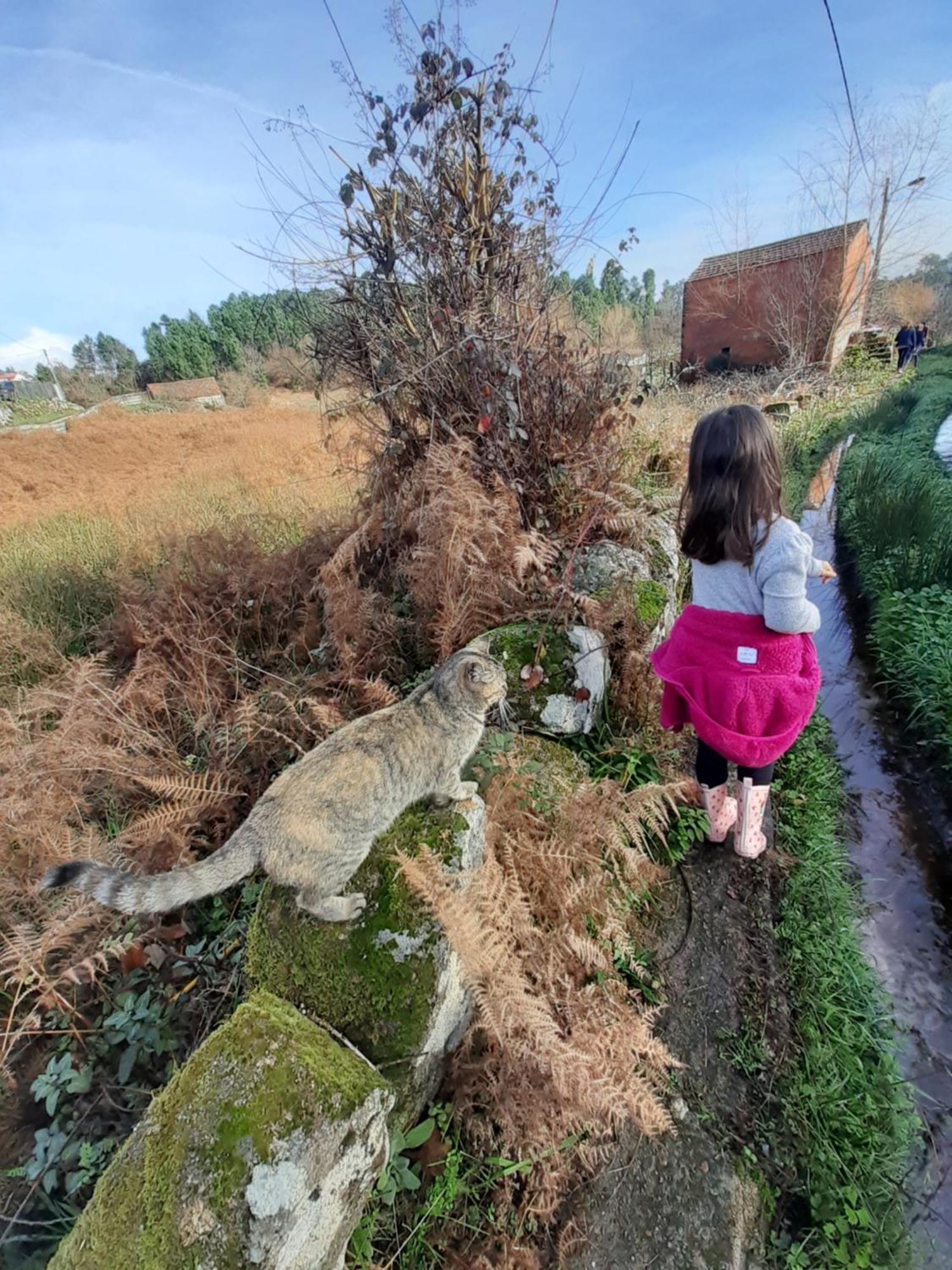 Quinta Da Peca Douro Vinhateiro Vila Real Eksteriør bilde