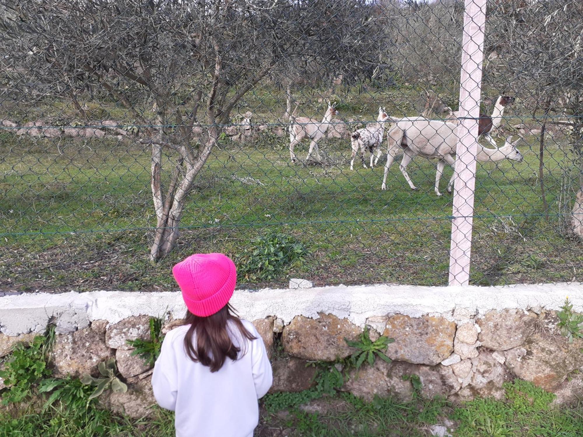 Quinta Da Peca Douro Vinhateiro Vila Real Eksteriør bilde